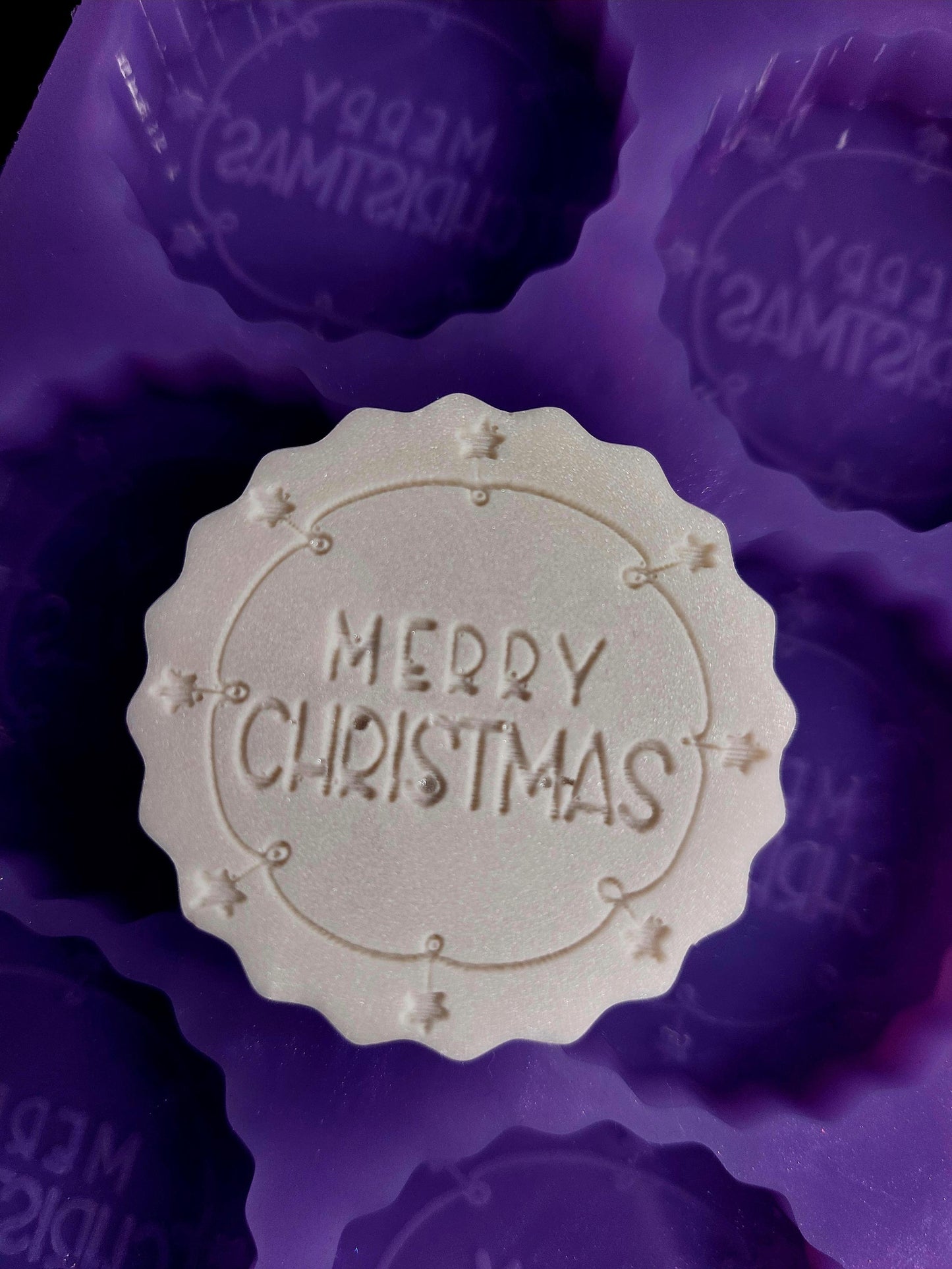 6 Piece Merry Christmas Silicone Mould for wax melts, resin and more
