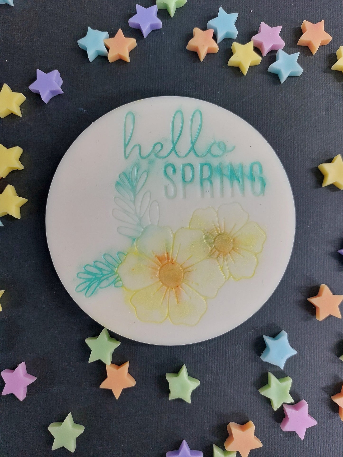 Hello Spring Disc Silicone Mould for wax resin soap